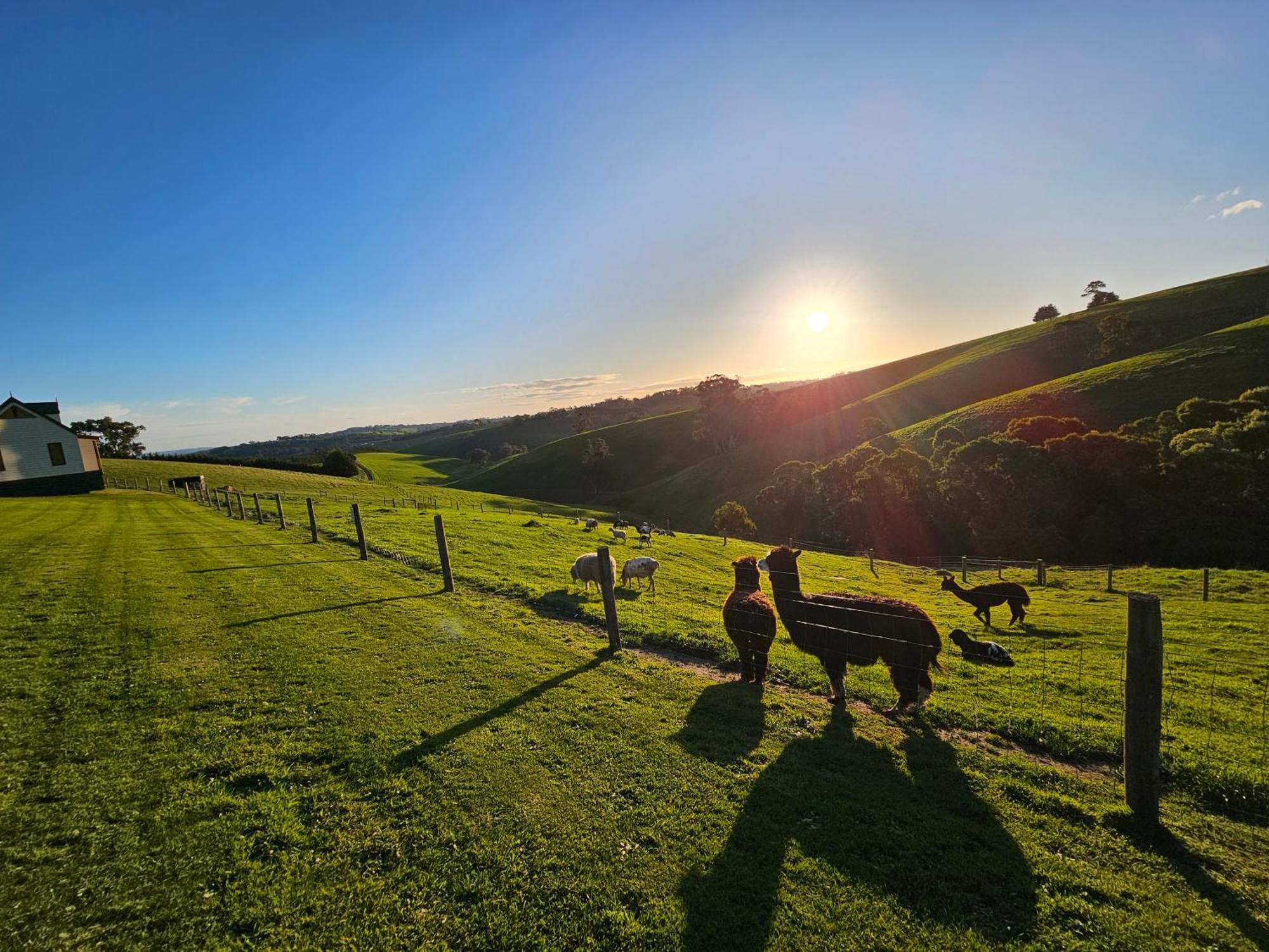 Maple Ridge Cottages Dumbalk Exteriér fotografie