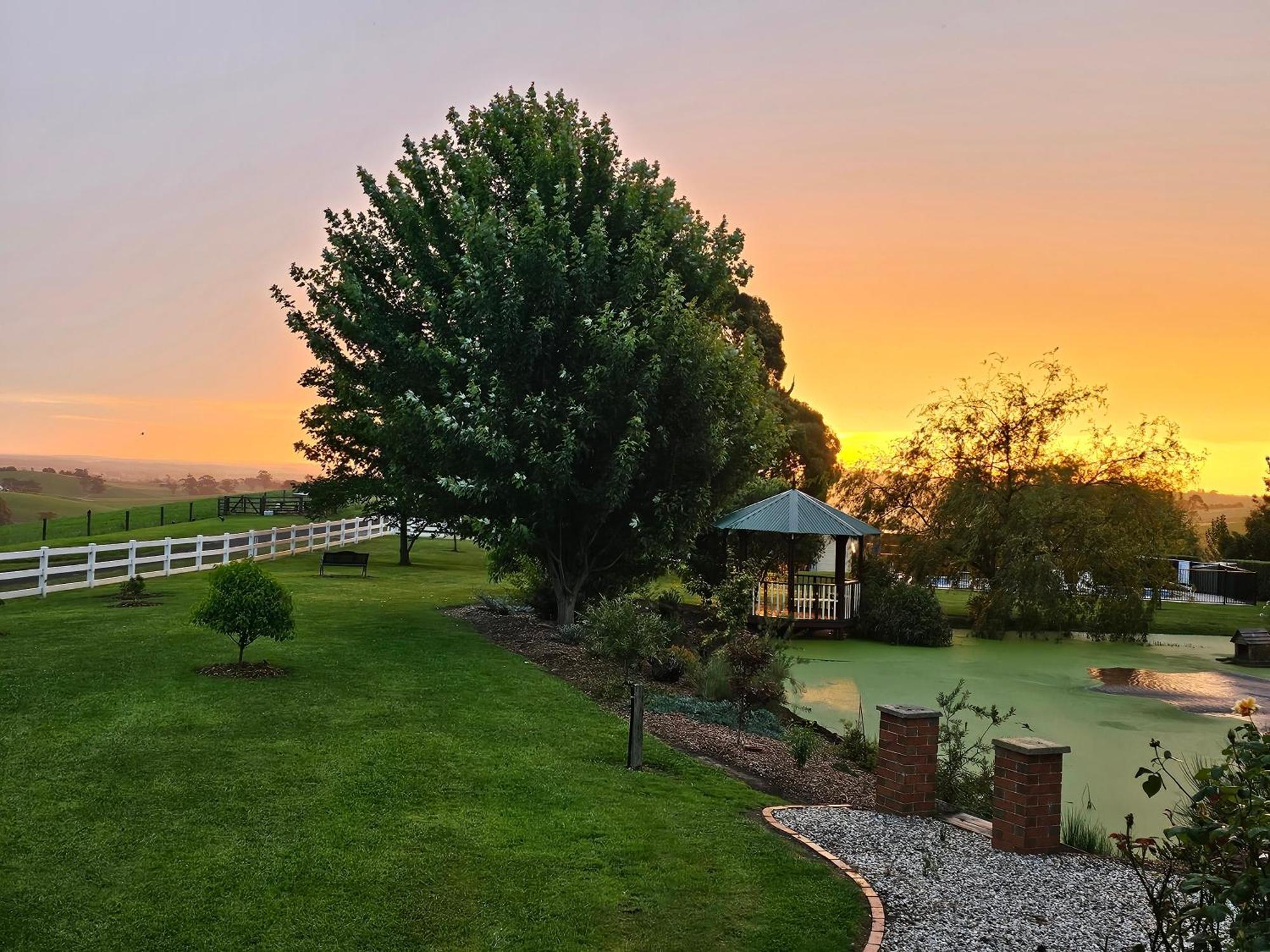 Maple Ridge Cottages Dumbalk Exteriér fotografie