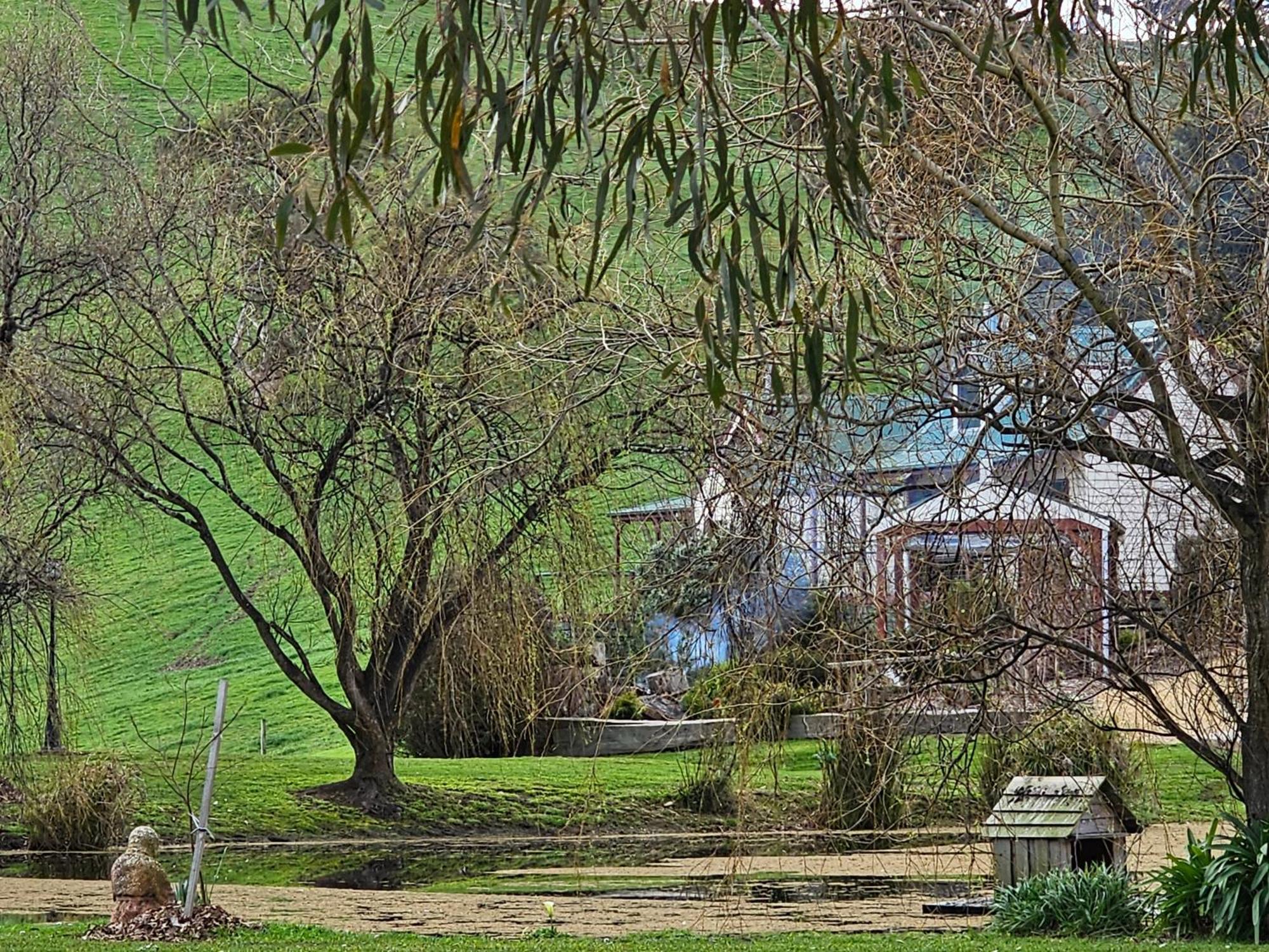 Maple Ridge Cottages Dumbalk Exteriér fotografie
